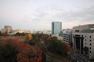 コンフォリア木場公園の物件内観写真